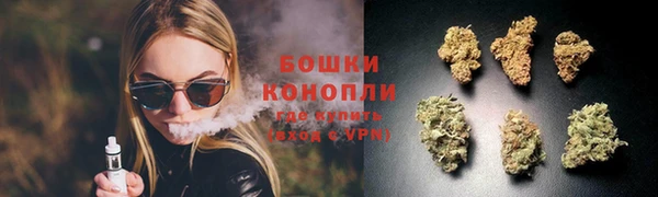 spice Абаза