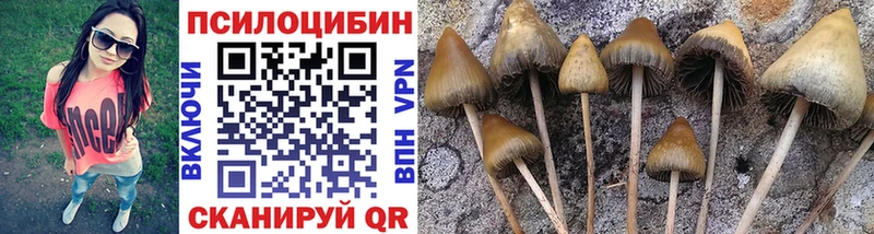 Псилоцибиновые грибы MAGIC MUSHROOMS  Черемхово 
