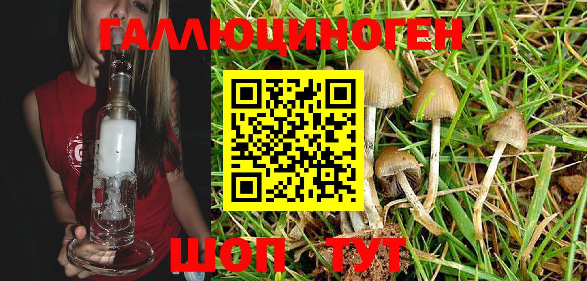 Галлюциногенные грибы Magic Shrooms Черемхово