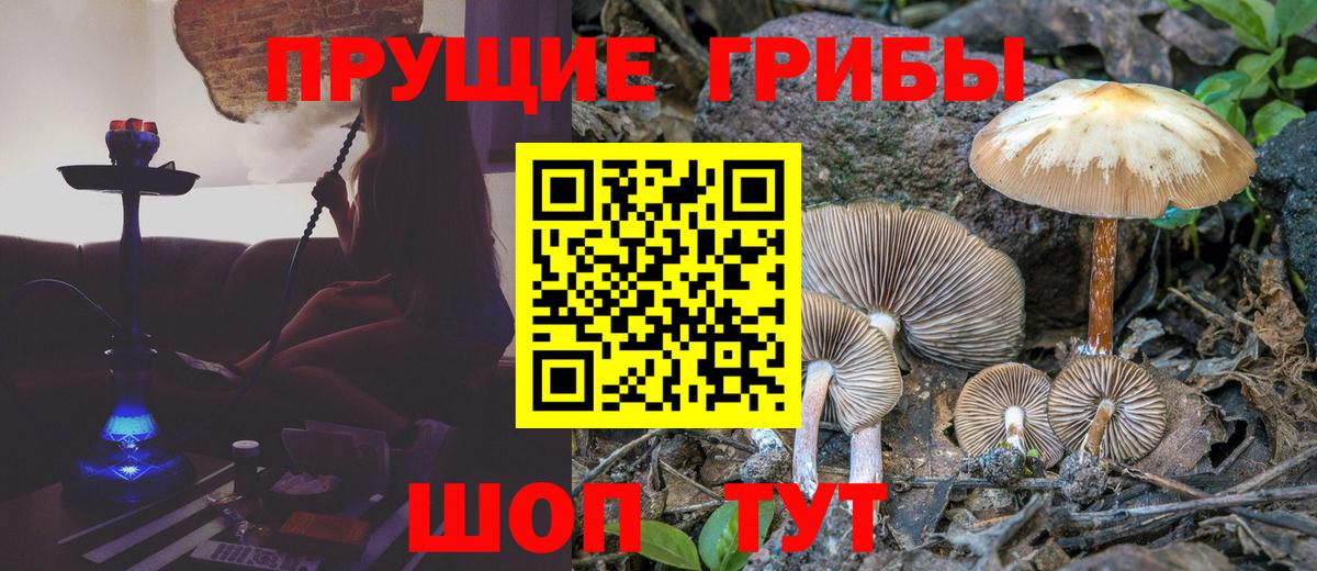 Черемхово  Галлюциногенные грибы прущие грибы  Псилоцибиновые грибы GOLDEN TEACHER  Вход с VPN 