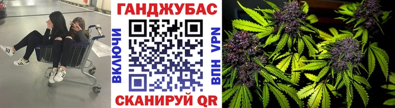 купить наркотики сайты  Черемхово  Шишки марихуана MAZAR 